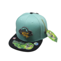 Gorra Plana Rick And Morty