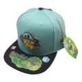 Gorra Plana Rick And Morty