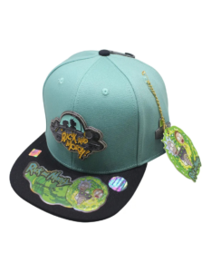 Gorra Plana Rick And Morty